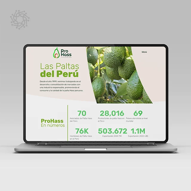 PROYECTOS WEB